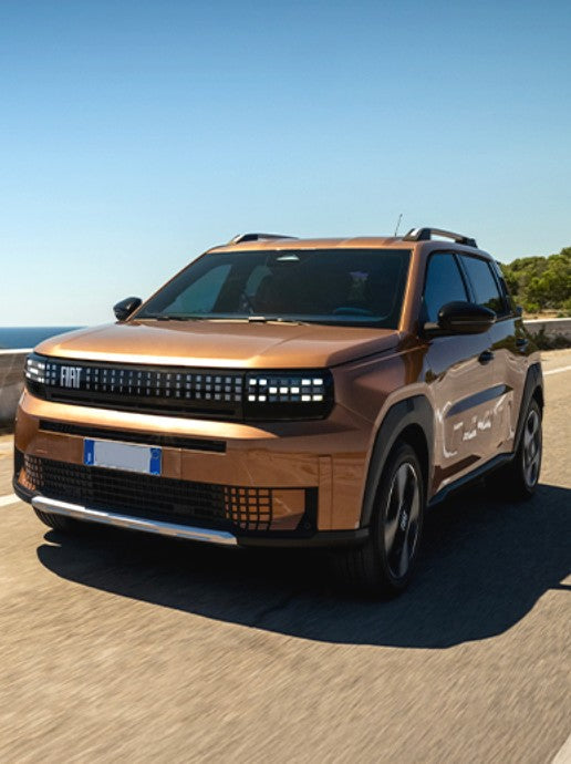 GRANDE PANDA HYBRID & ELETTRICA->