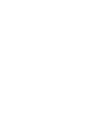 DS AUTOMOBILES
